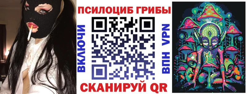 Псилоцибиновые грибы Cubensis  Верея 
